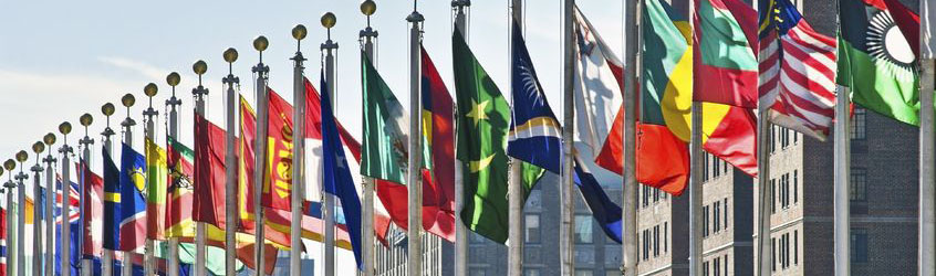Colorful flags of the world outside of the United Nations building in New York City.